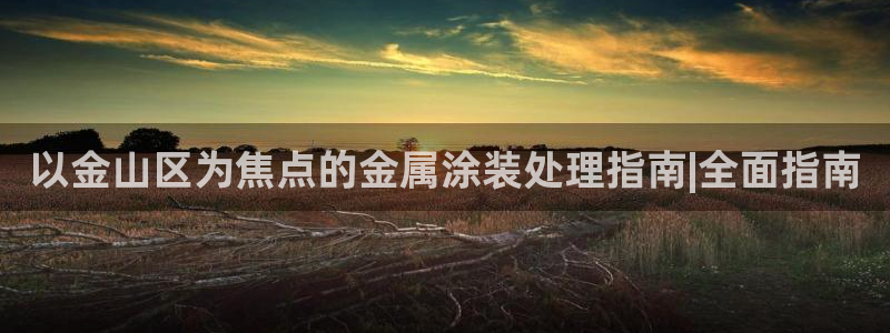 美高梅别墅在哪里:以金山区为焦点的金属涂 美高梅别墅在哪里:以金山区为焦点的金属涂